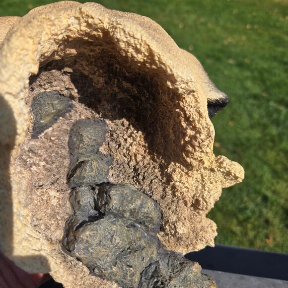 Mama and Pup Pug Look of Love Bust Westland Giftware #3178 HEAVY - Picture 5 of 16